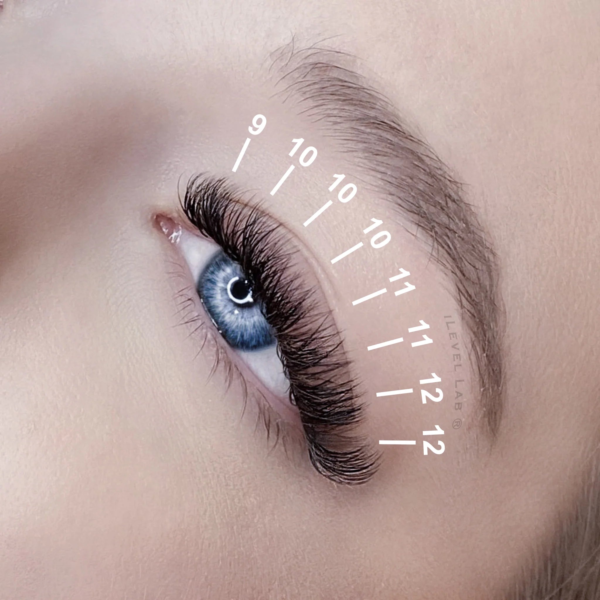 CC CURL LASHES
