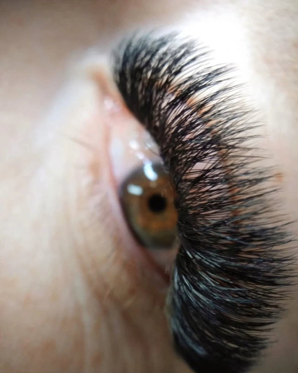CC CURL LASHES
